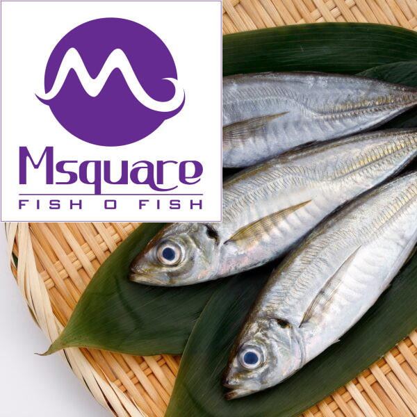 Bass ( கொடுவா மீன் )