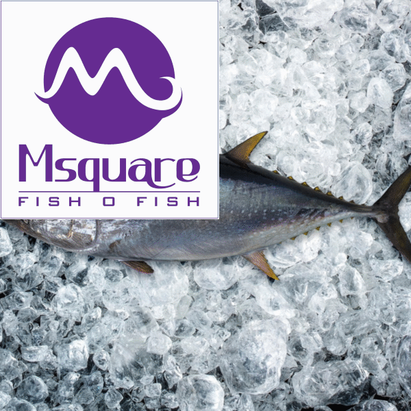 Frozen Tuna (உறைந்த சூரல் மீன்)