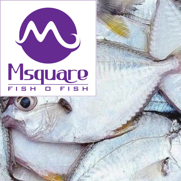 Silver Belly Fish(காராள் மீன்)