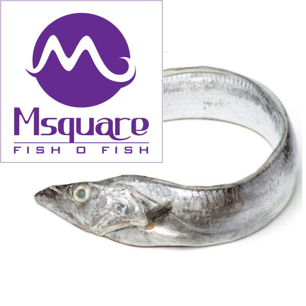 Ribbon Fish (வாளை மீன்)