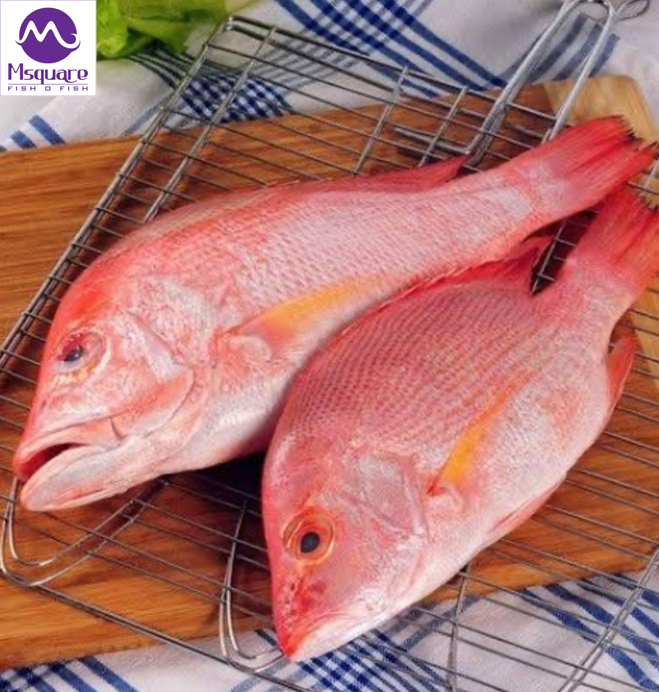 Untitled (2188 x 2300 px) (5)