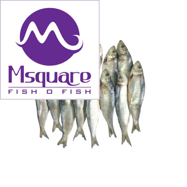 Dried Sardine(மத்தி கருவாடு)