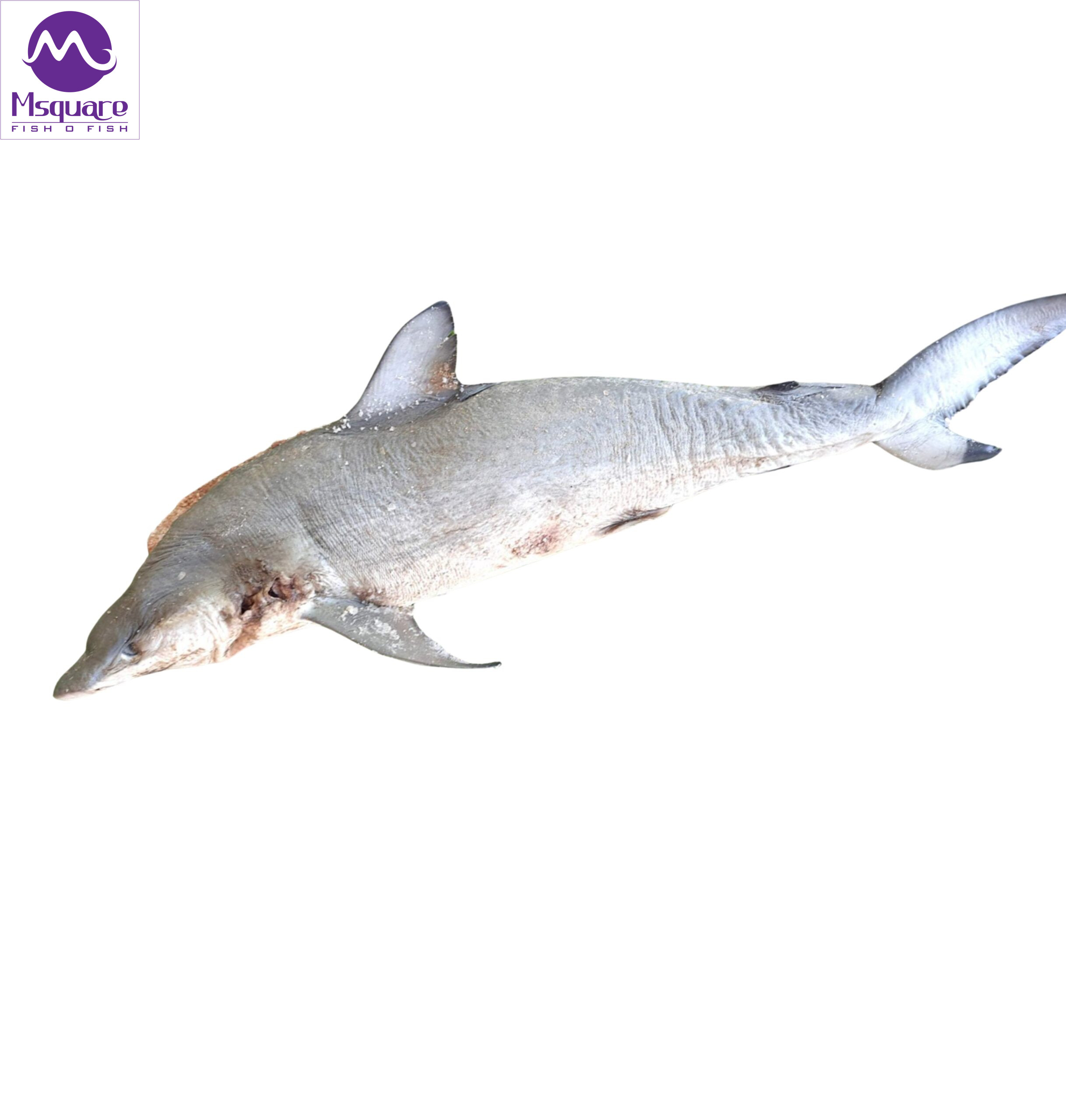 Dried shark