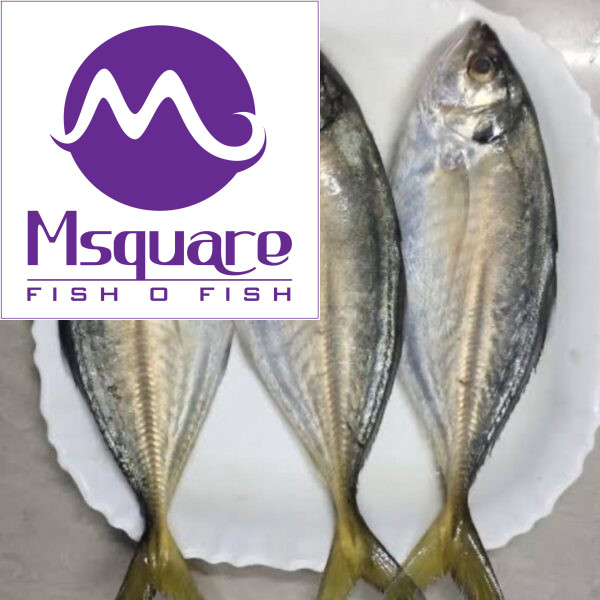 தேங்காய் பாறை