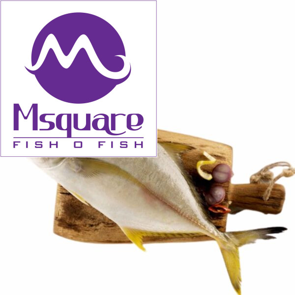 Travelly (மஞ்சள் பாறை)