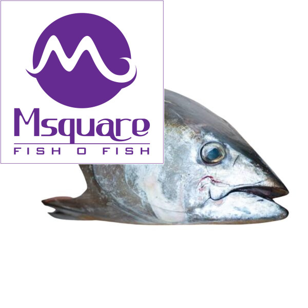 Tuna Head - (சுறா தலை)