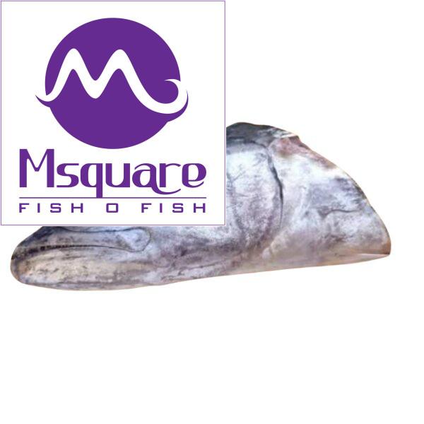 King Fish Head - (வஞ்சரம் தலை)