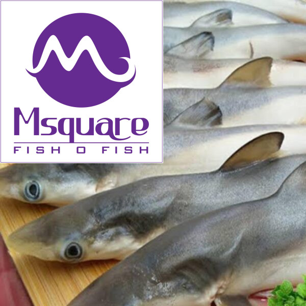 Baby Shark ( சுறா மீன் )