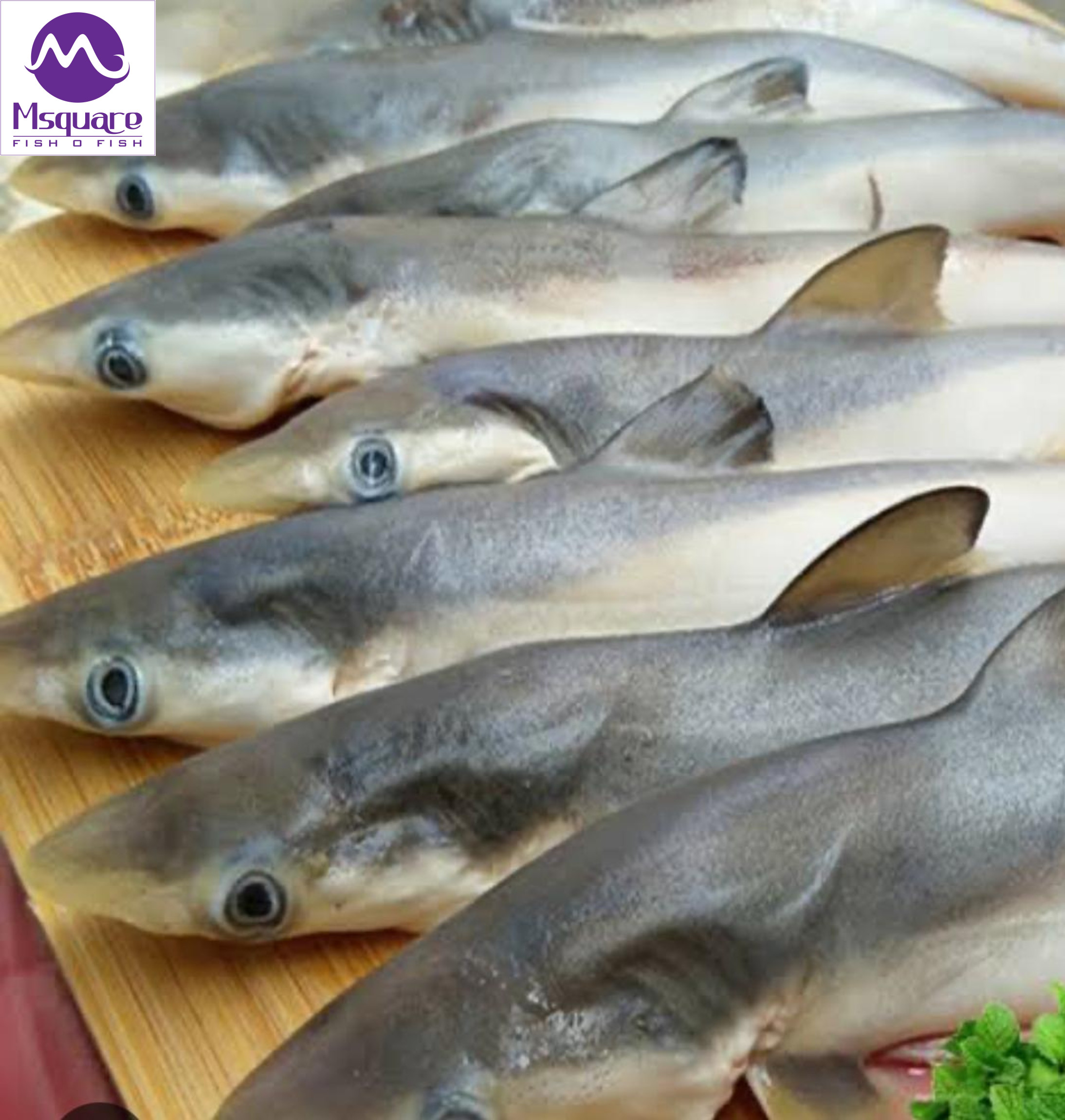 Untitled (2188 x 2300 px) (3)