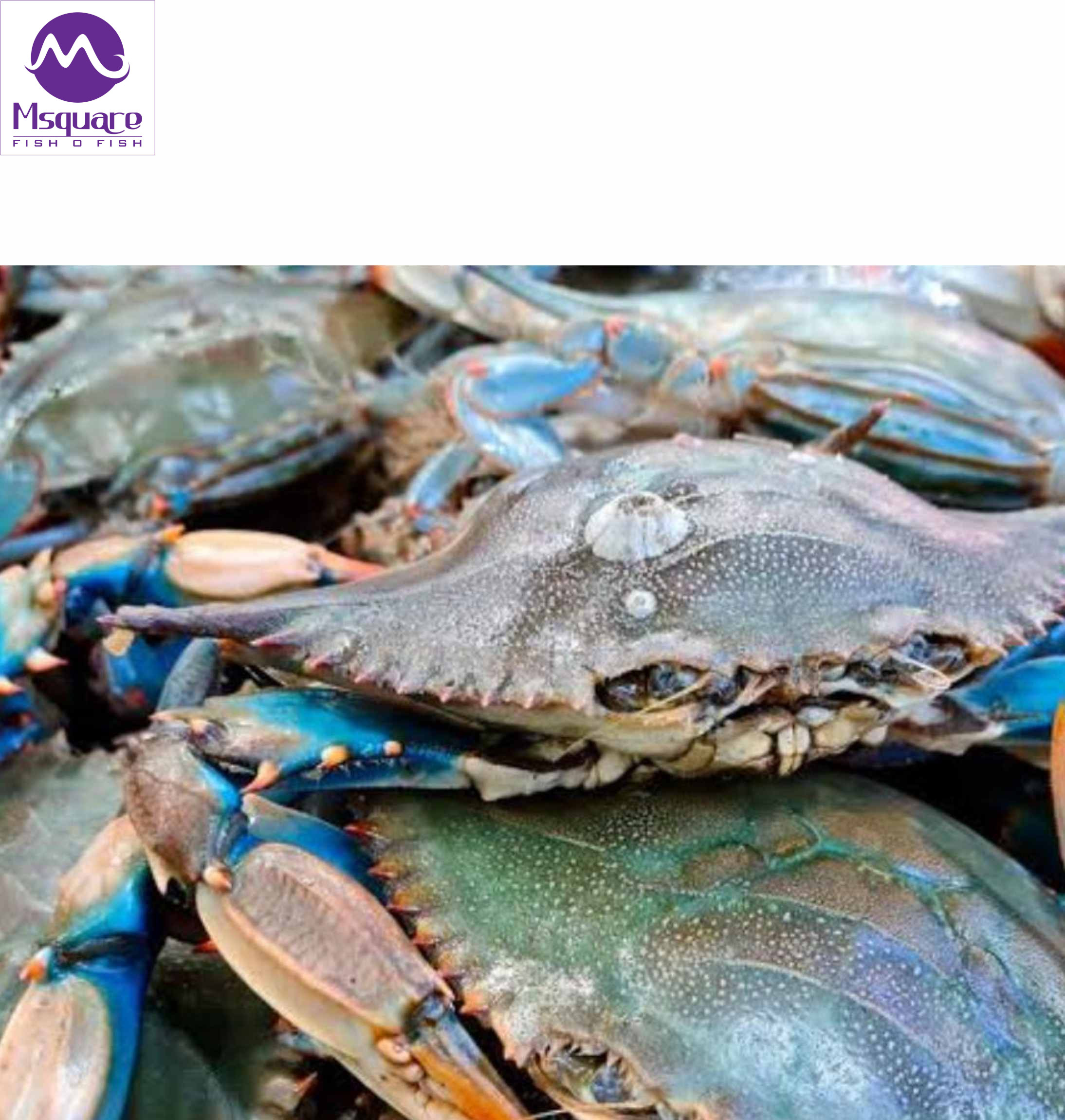 Untitled (2188 x 2300 px) (4)