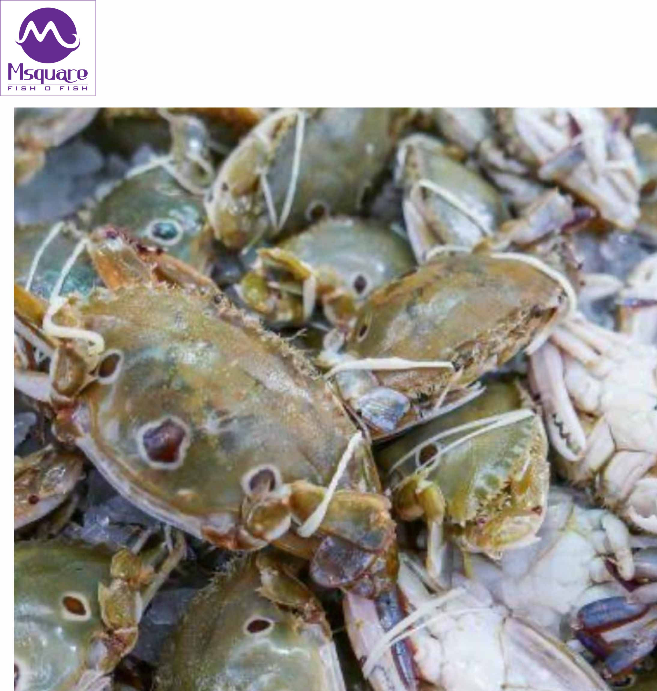 Untitled (2188 x 2300 px) (8)