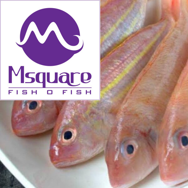 சங்கரா/கிளிமீன்