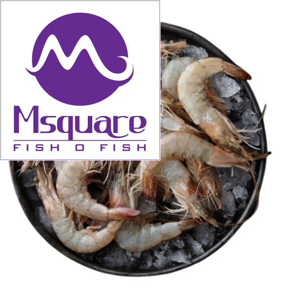 White Prawn(வெள்ளை இறால்)