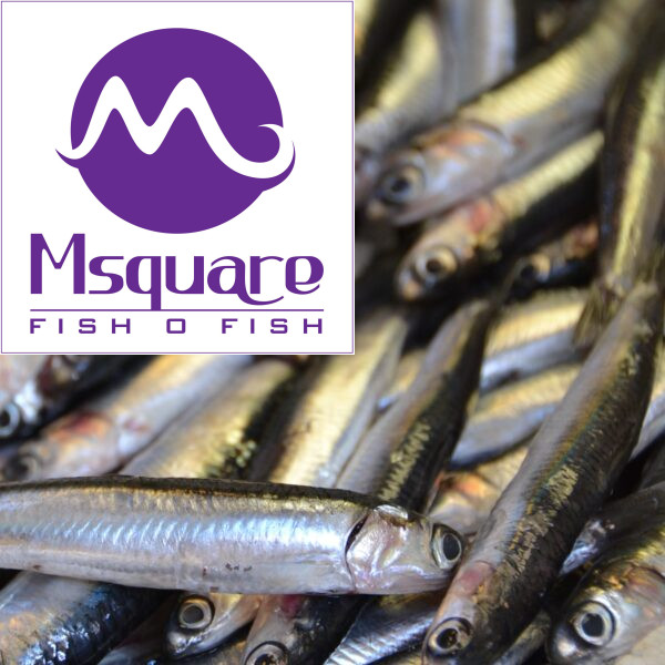 Ribbon Dry Fish ( வாலை கருவாடு )